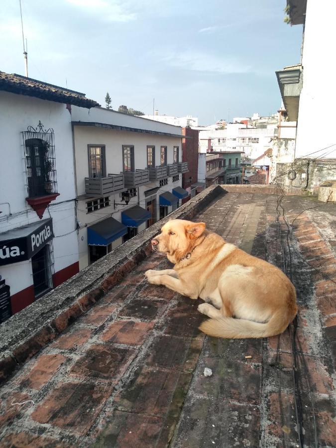 Hostal 50 Xalapa Eksteriør bilde